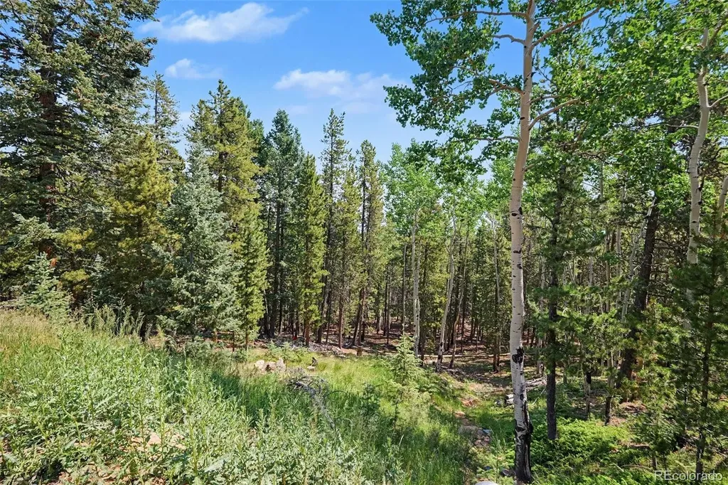10742 Timothys Road Conifer CO 80433