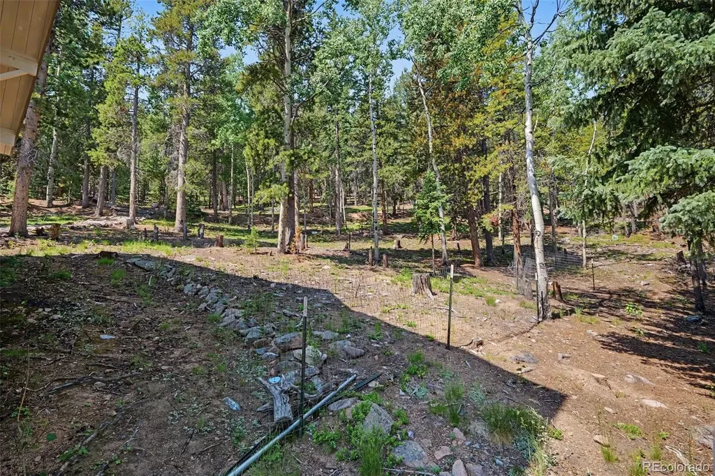 10742 Timothys Road Conifer CO 80433