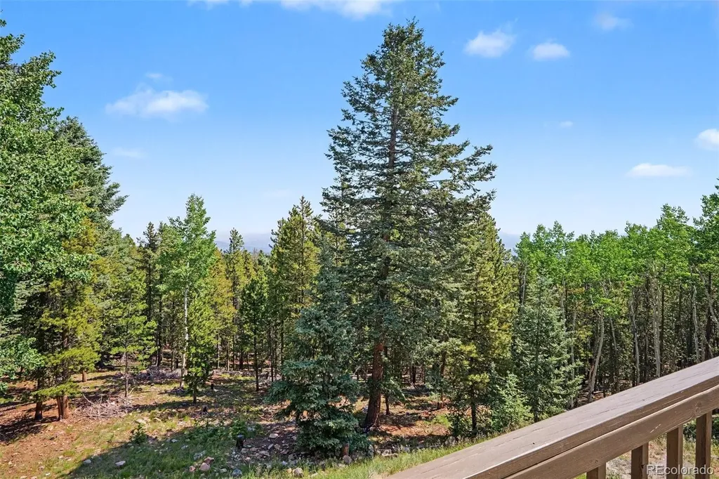 10742 Timothys Road Conifer CO 80433