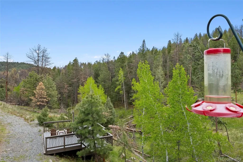 504 Broken Arrow Road Evergreen CO 80439