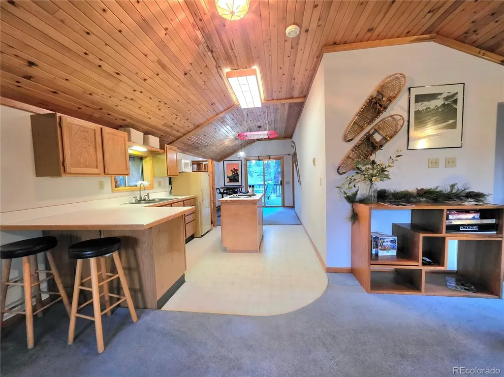 211 Pine Ridge Road Alma CO 80420