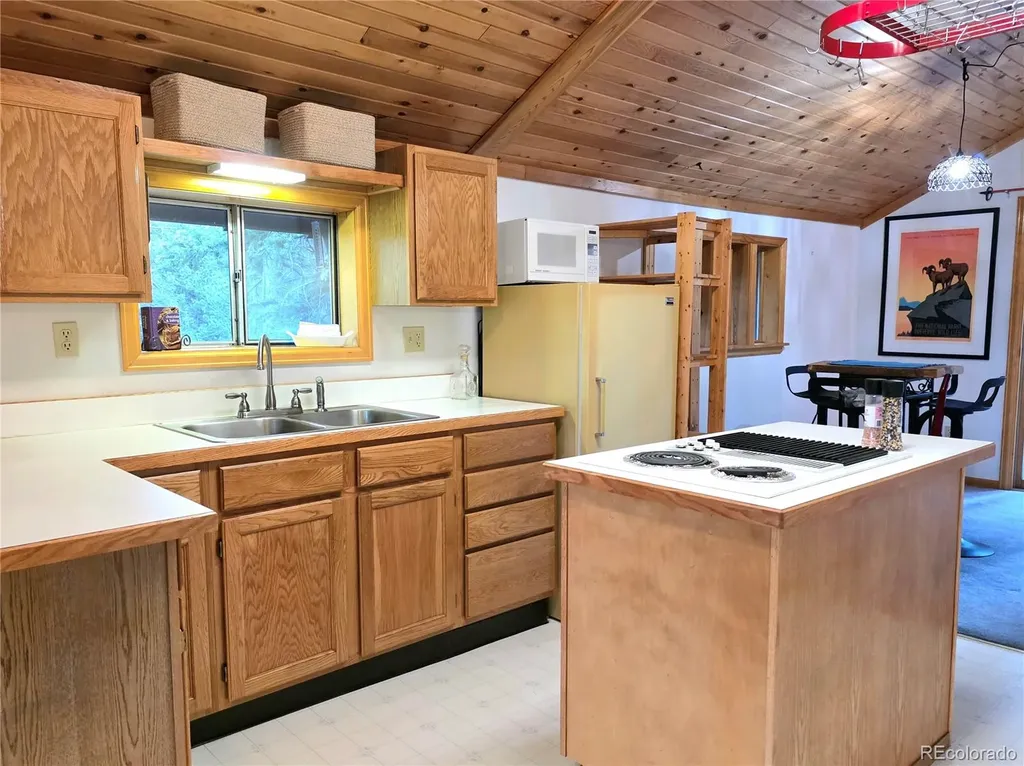 211 Pine Ridge Road Alma CO 80420