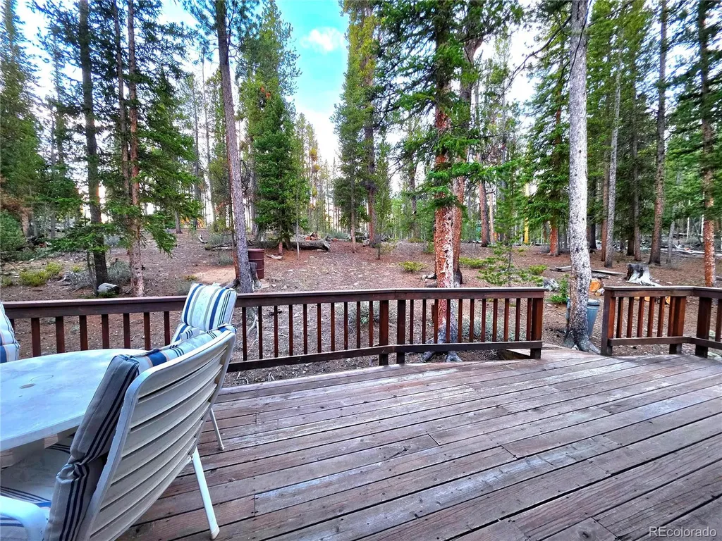 211 Pine Ridge Road Alma CO 80420