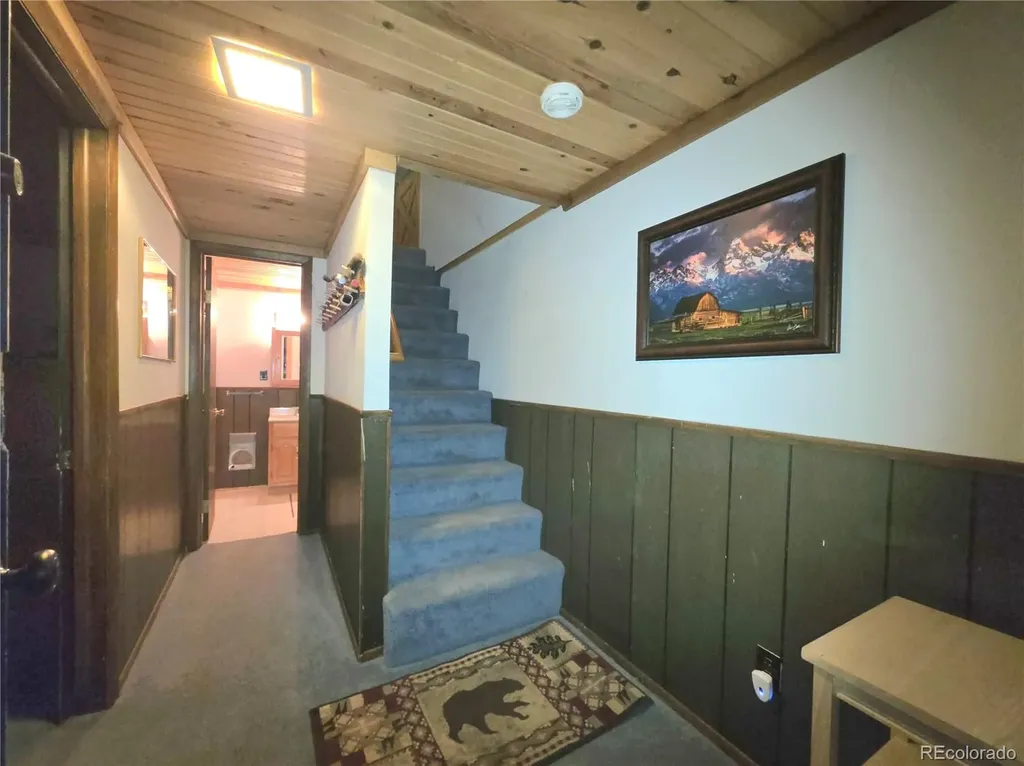 211 Pine Ridge Road Alma CO 80420