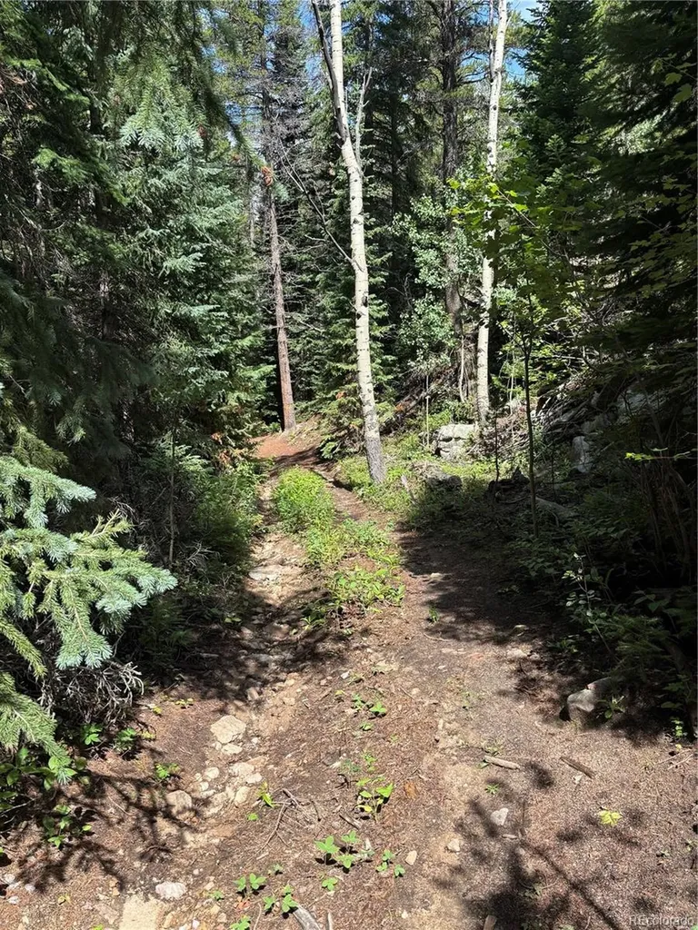 850 Lupine Place Black Hawk CO 80422