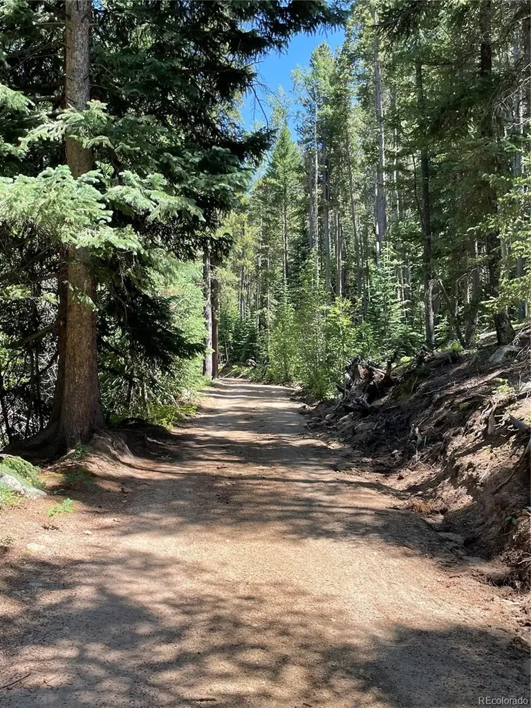 850 Lupine Place Black Hawk CO 80422