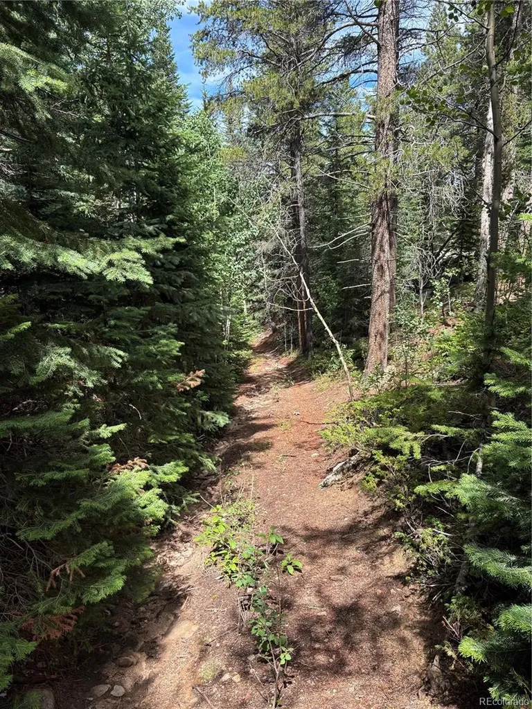 850 Lupine Place Black Hawk CO 80422