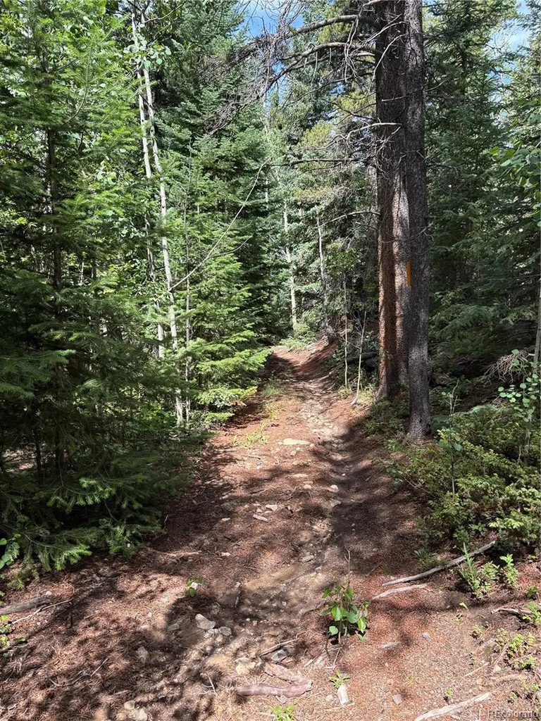 850 Lupine Place Black Hawk CO 80422