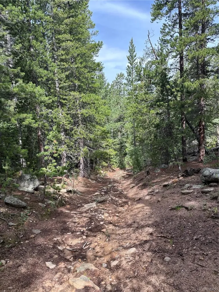 850 Lupine Place Black Hawk CO 80422