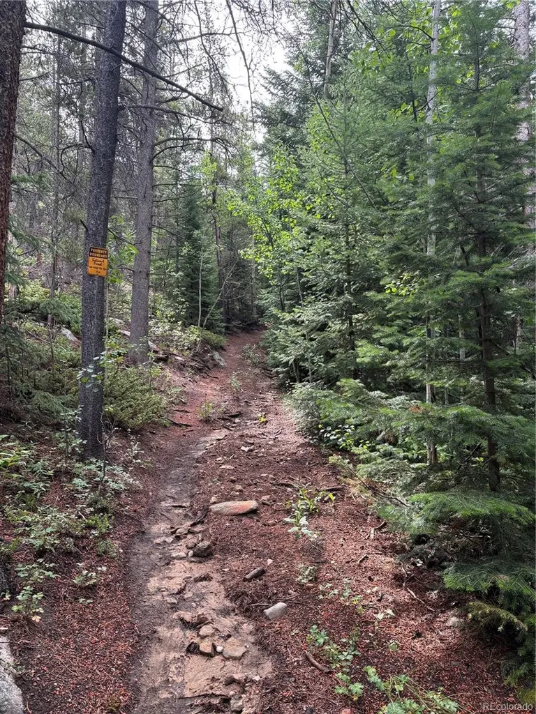850 Lupine Place Black Hawk CO 80422