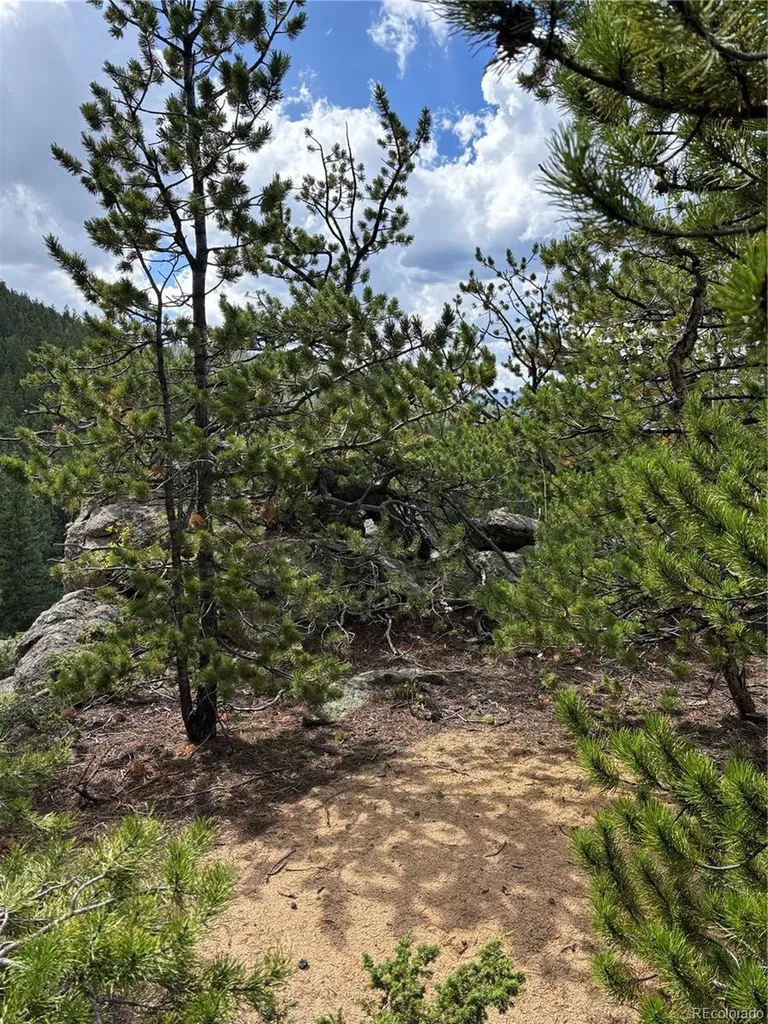 850 Lupine Place Black Hawk CO 80422