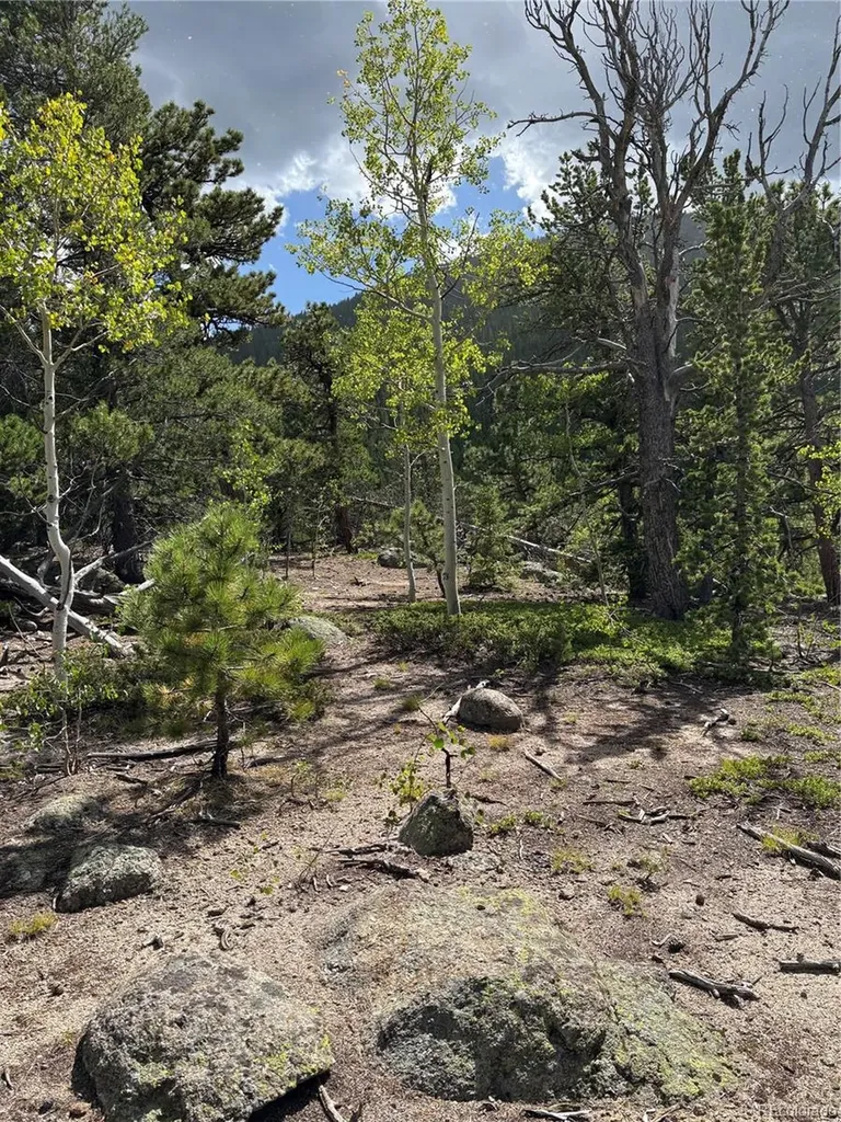 850 Lupine Place Black Hawk CO 80422