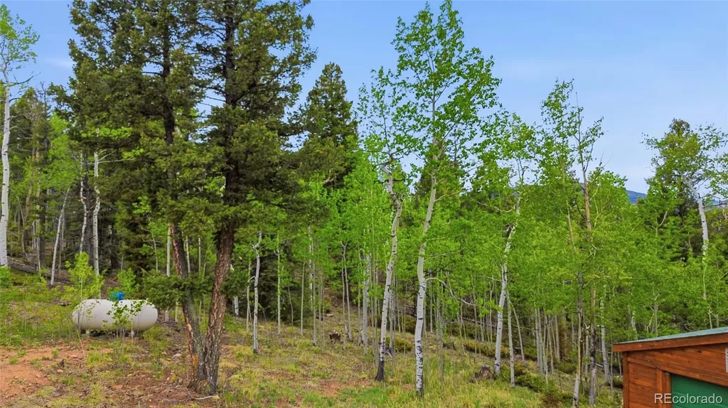 290 Eagle Rock Road Florissant CO 80816
