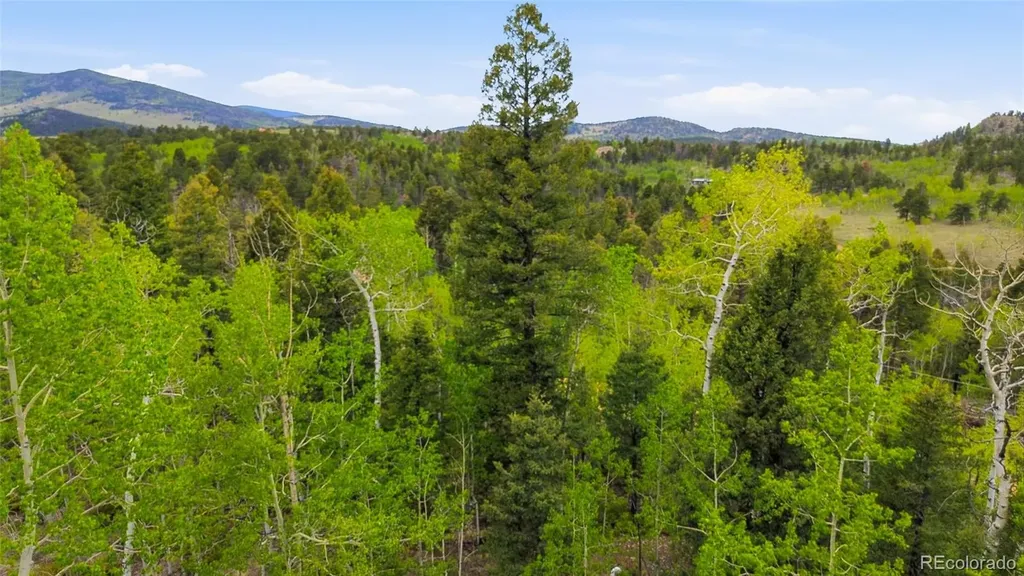 290 Eagle Rock Road Florissant CO 80816