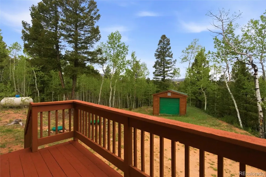 290 Eagle Rock Road Florissant CO 80816