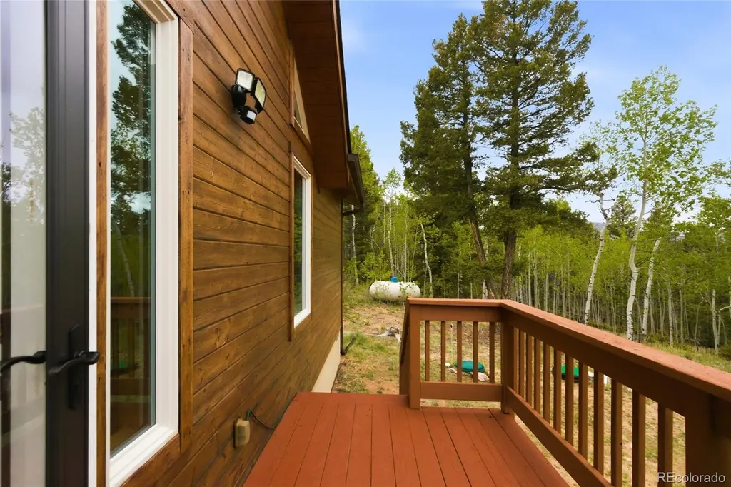 290 Eagle Rock Road Florissant CO 80816