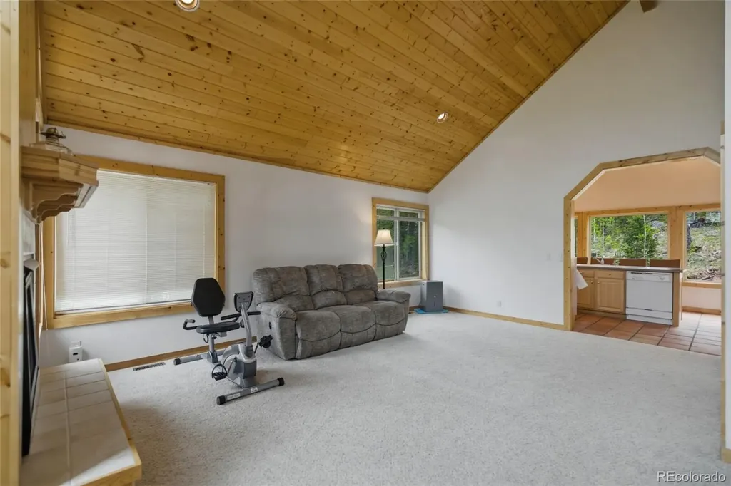 290 Eagle Rock Road Florissant CO 80816