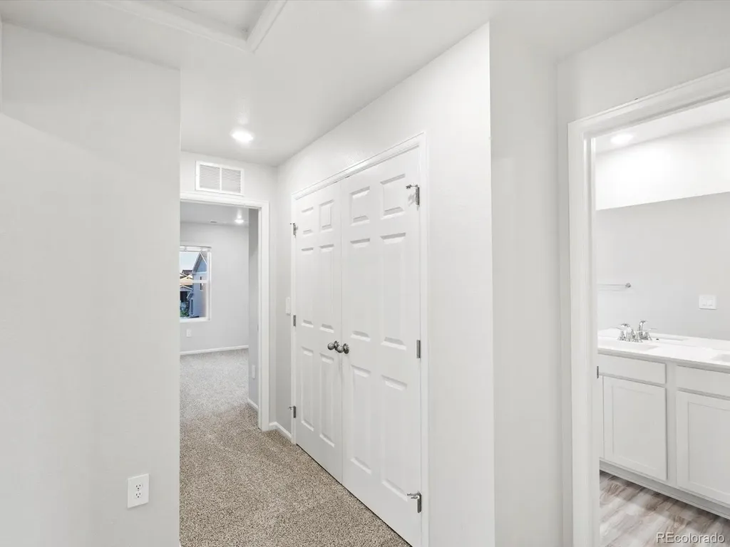 1691 Yampa River Drive Windsor CO 80550