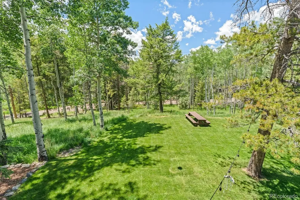 9030 Rex Lane Conifer CO 80433