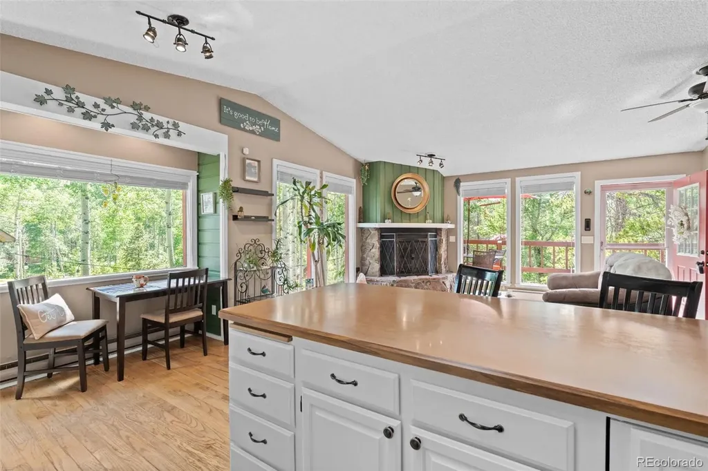 9030 Rex Lane Conifer CO 80433