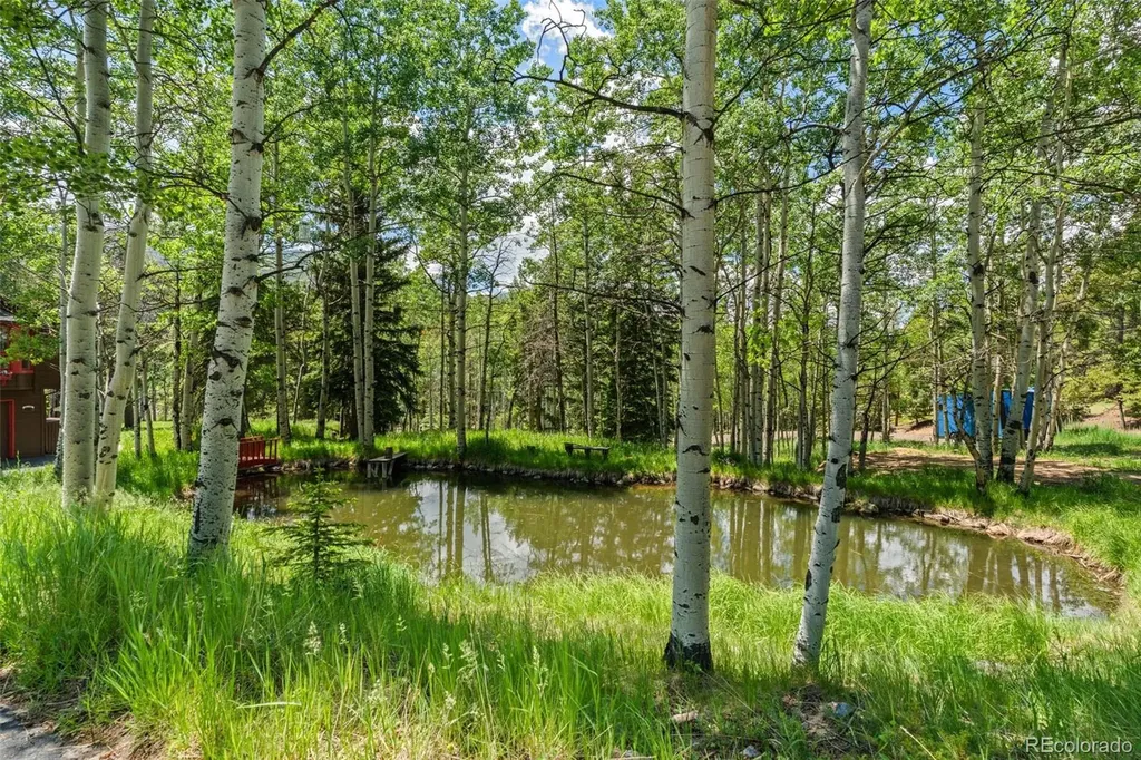 9030 Rex Lane Conifer CO 80433
