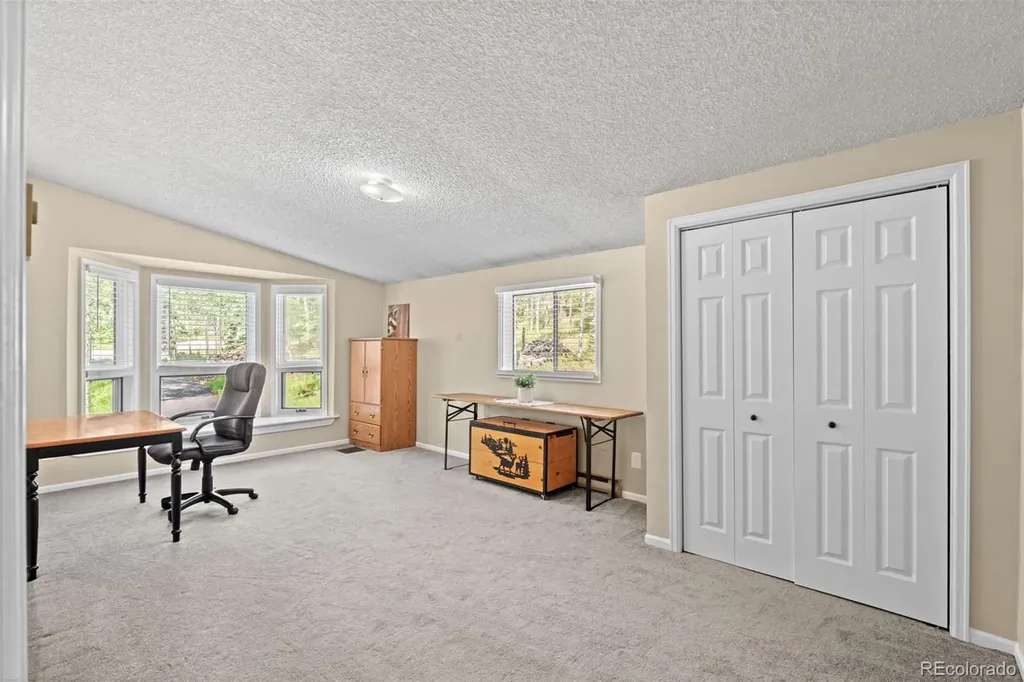 9030 Rex Lane Conifer CO 80433