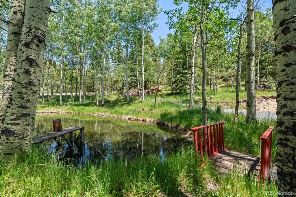 9030 Rex Lane Conifer CO 80433