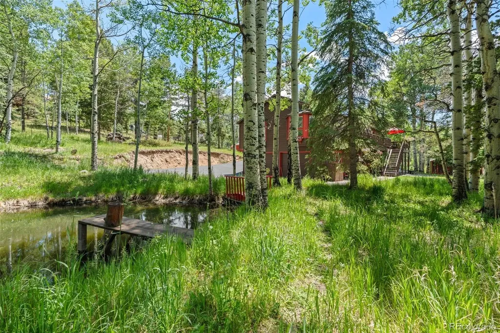 9030 Rex Lane Conifer CO 80433