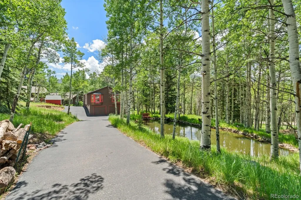 9030 Rex Lane Conifer CO 80433