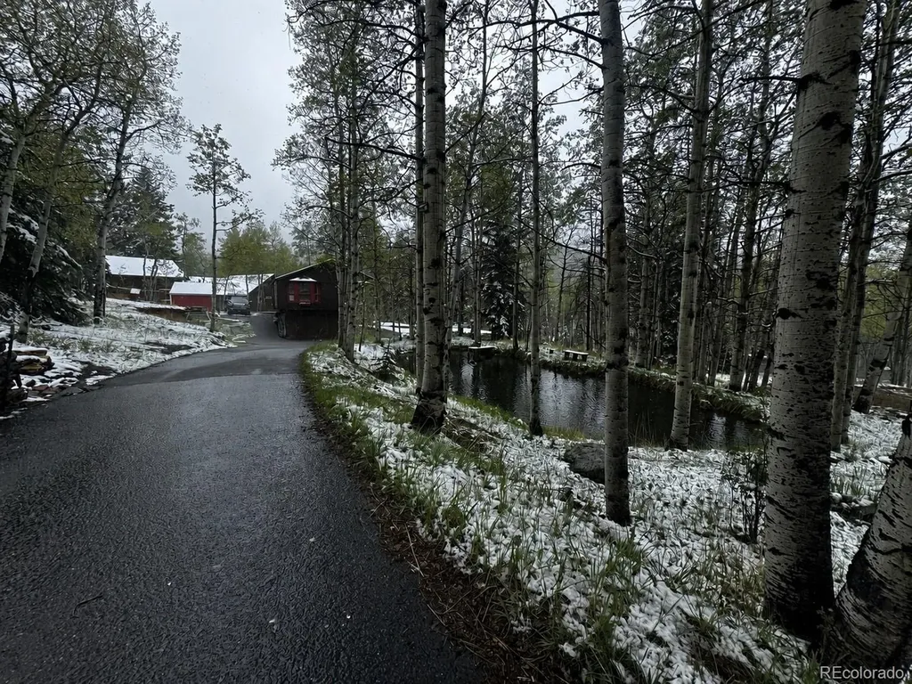9030 Rex Lane Conifer CO 80433