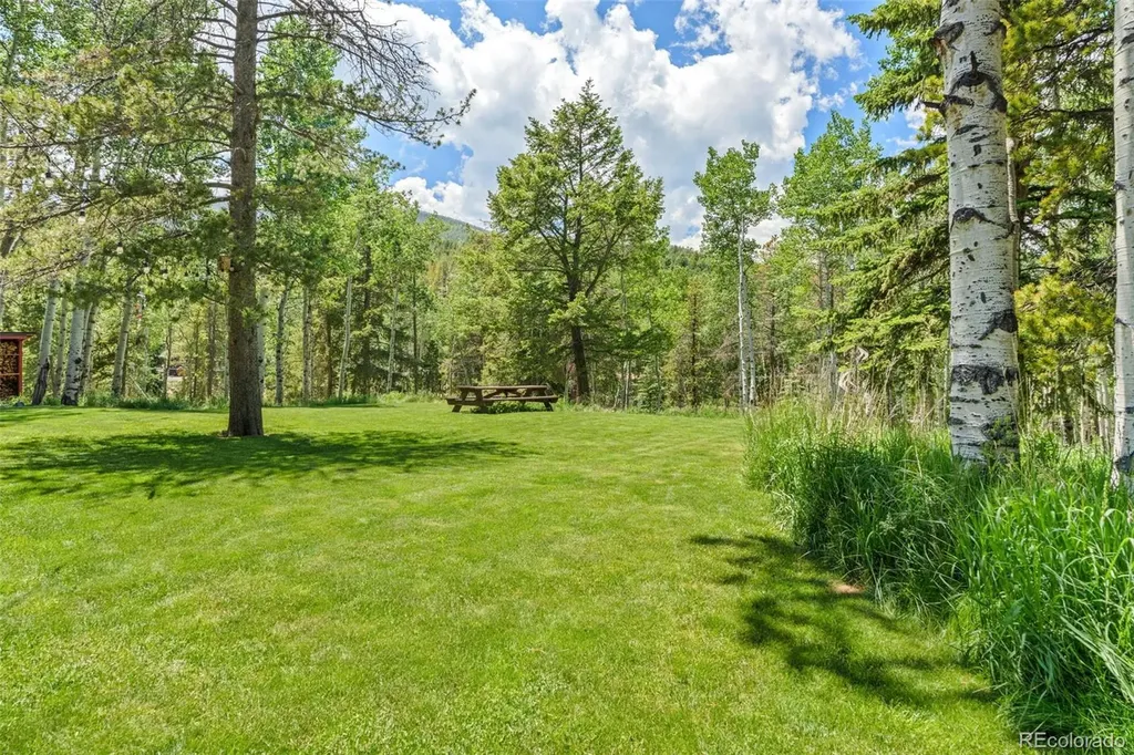 9030 Rex Lane Conifer CO 80433