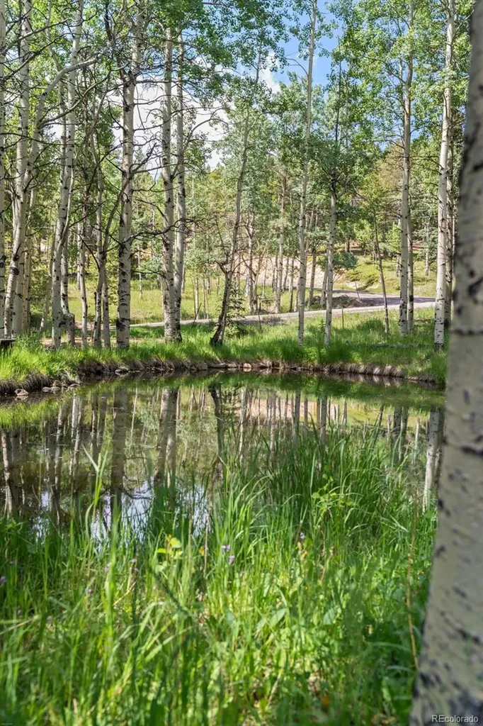 9030 Rex Lane Conifer CO 80433
