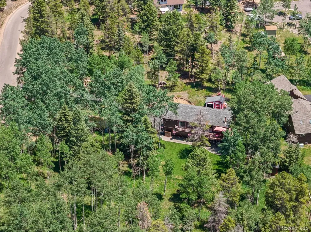 9030 Rex Lane Conifer CO 80433