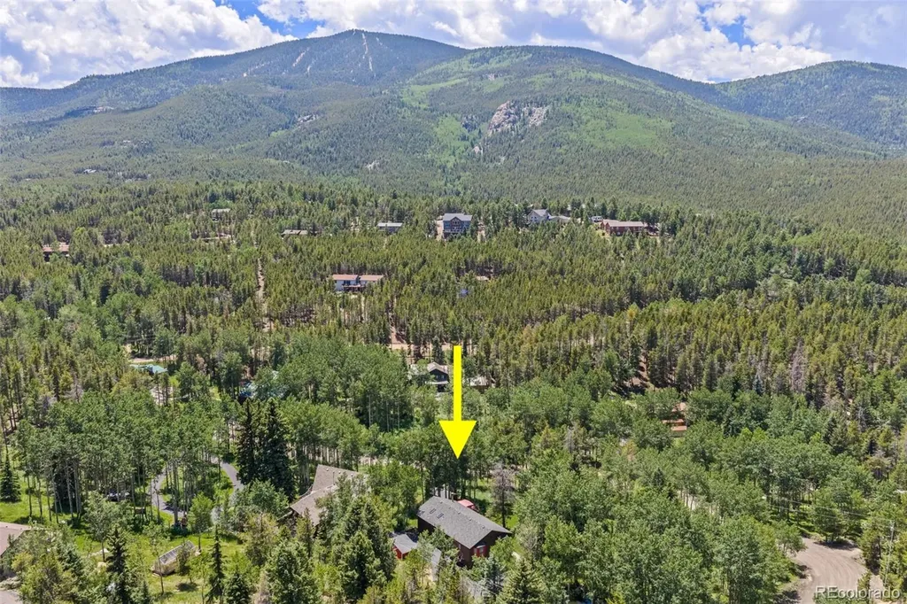 9030 Rex Lane Conifer CO 80433