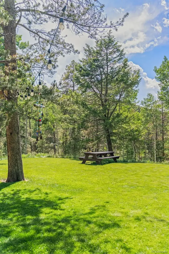 9030 Rex Lane Conifer CO 80433