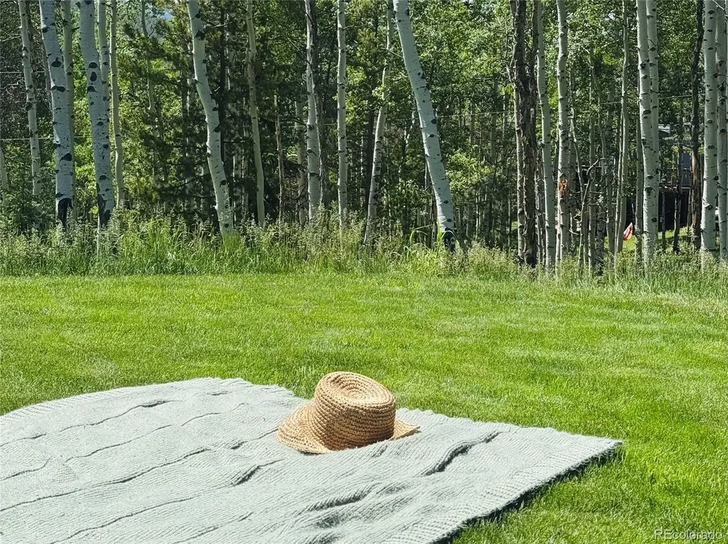 9030 Rex Lane Conifer CO 80433