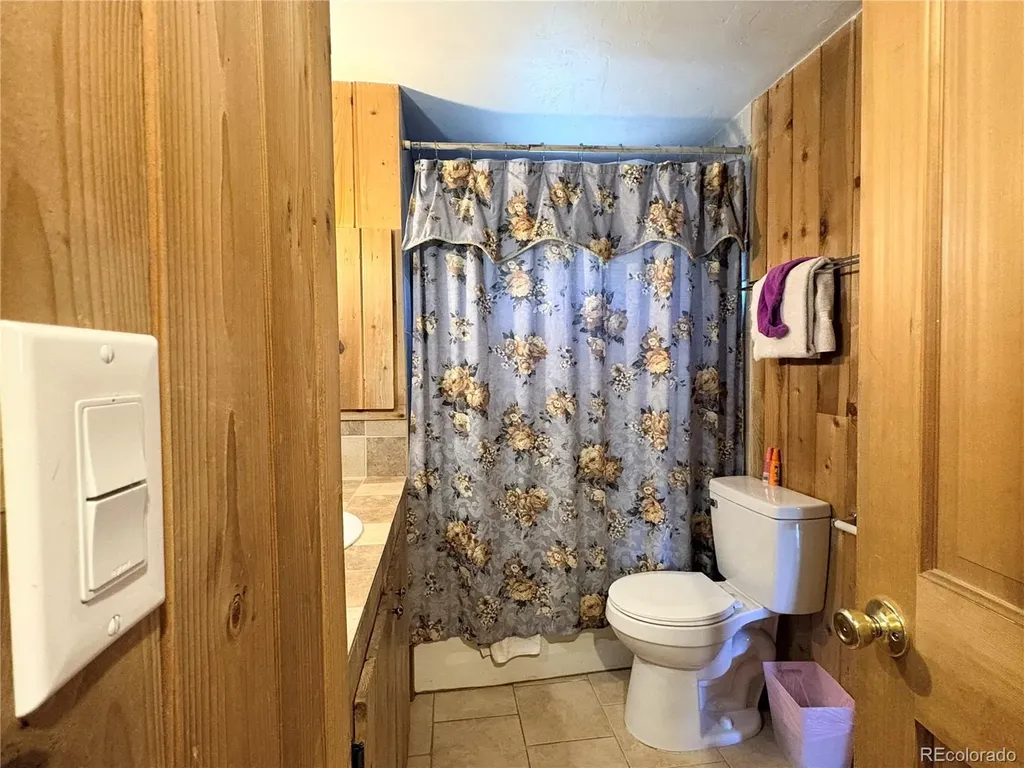 506 E 9th Street Leadville CO 80461