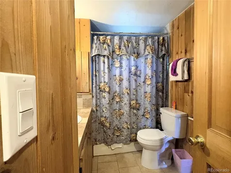 506 E 9th Street Leadville CO 80461