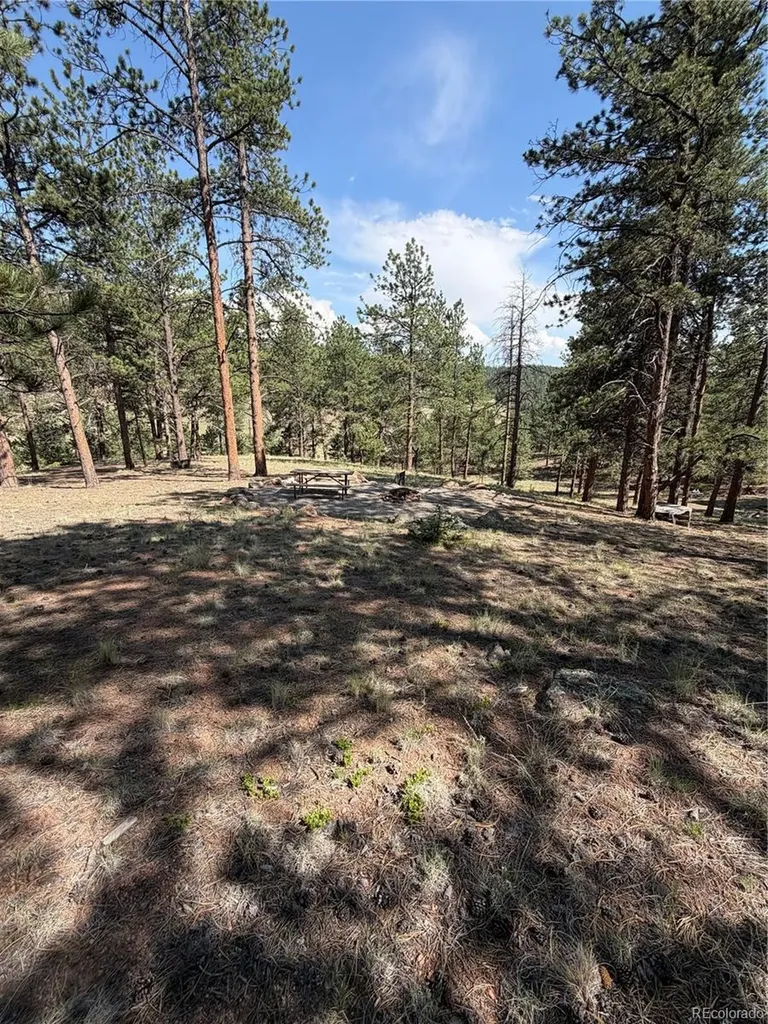 39 Rabbil Creek Trail Florissant CO 80816