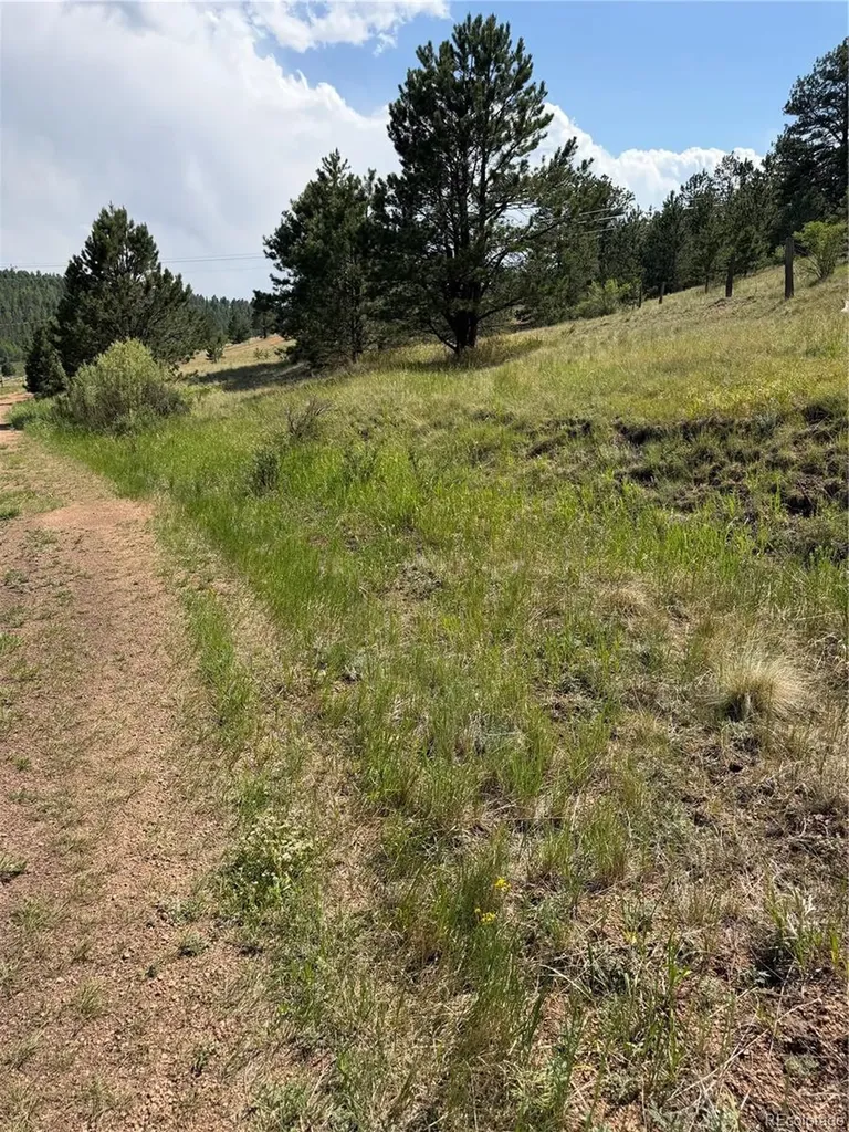 39 Rabbil Creek Trail Florissant CO 80816