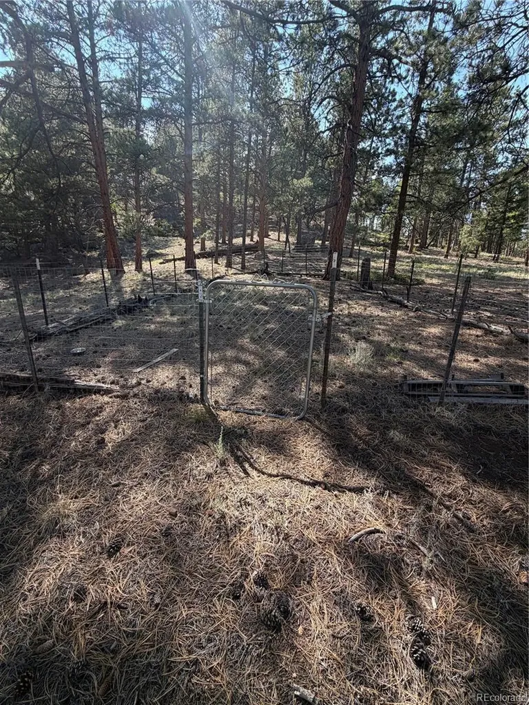 39 Rabbil Creek Trail Florissant CO 80816