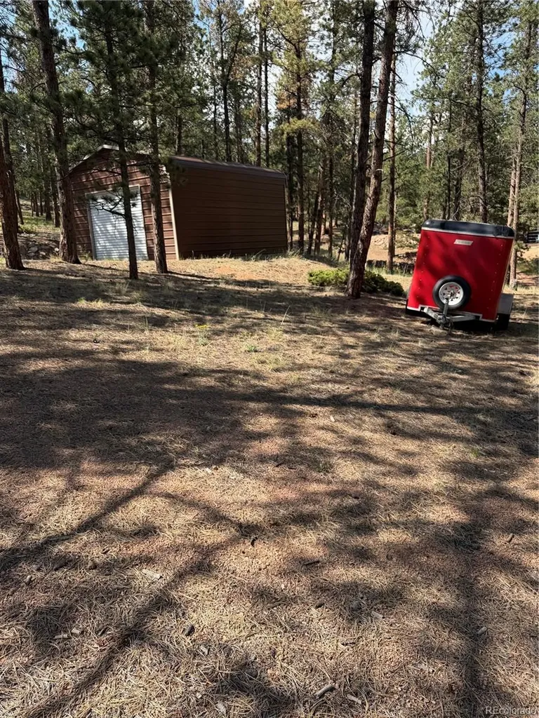 39 Rabbil Creek Trail Florissant CO 80816