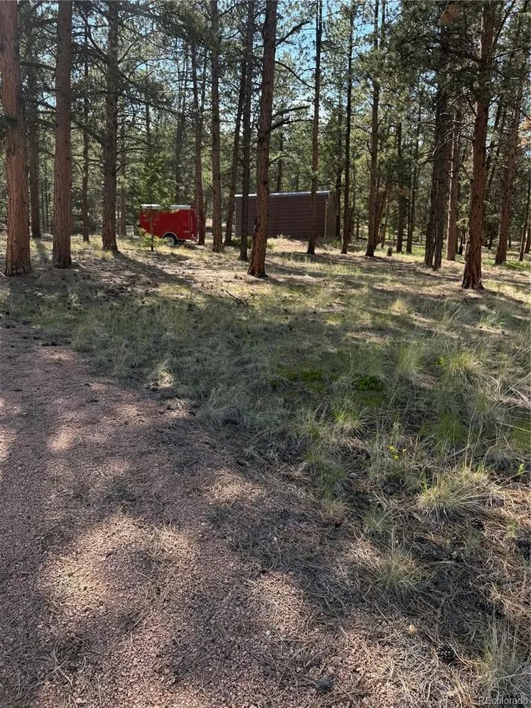39 Rabbil Creek Trail Florissant CO 80816