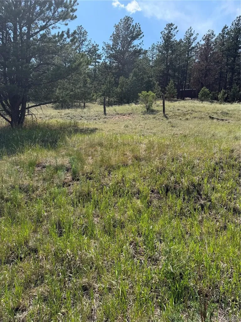 39 Rabbil Creek Trail Florissant CO 80816