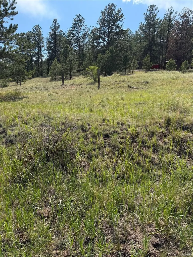 39 Rabbil Creek Trail Florissant CO 80816