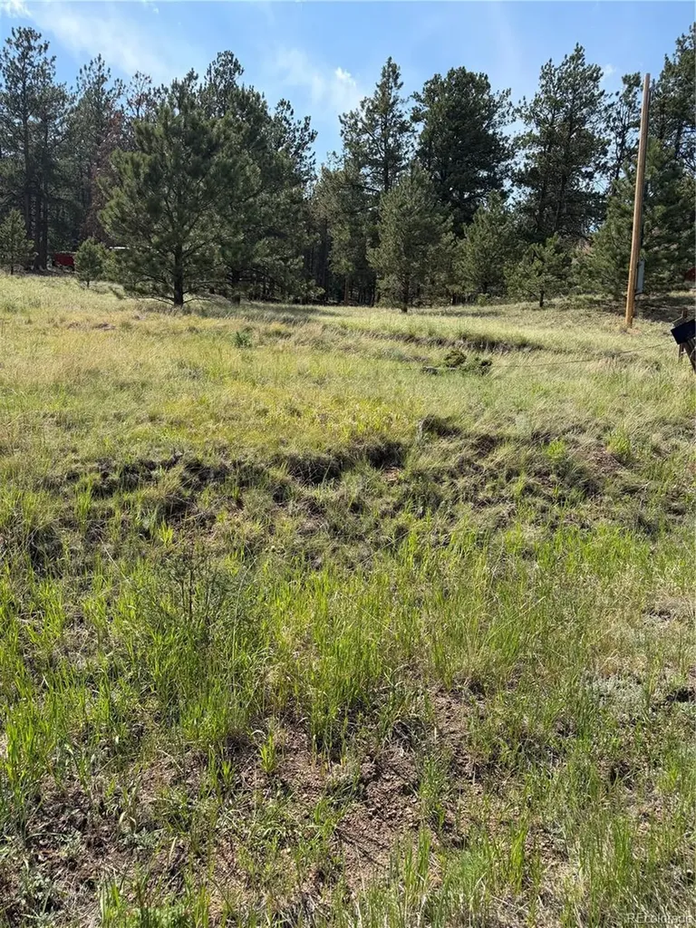 39 Rabbil Creek Trail Florissant CO 80816