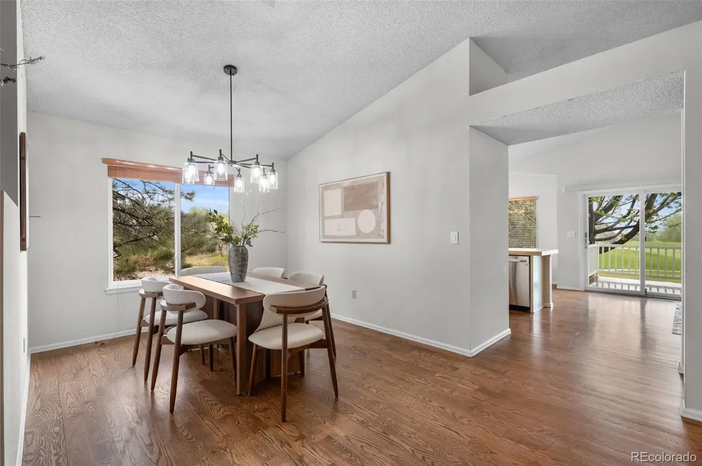 23 Abernathy Court Highlands Ranch CO 80130