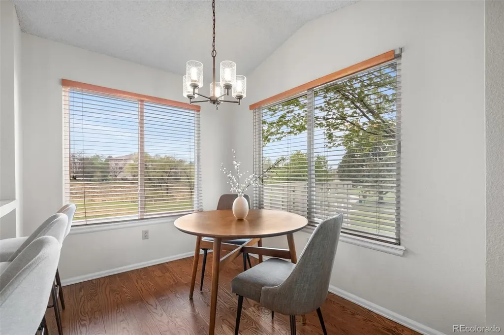 23 Abernathy Court Highlands Ranch CO 80130
