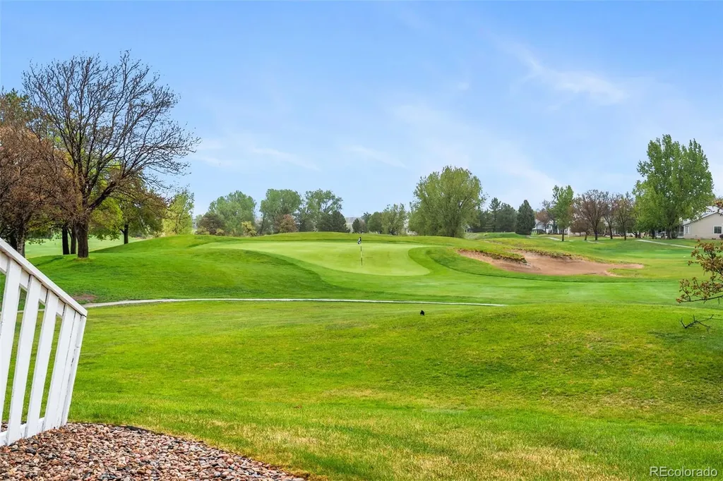 23 Abernathy Court Highlands Ranch CO 80130