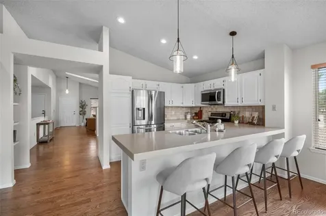 23 Abernathy Court Highlands Ranch CO 80130